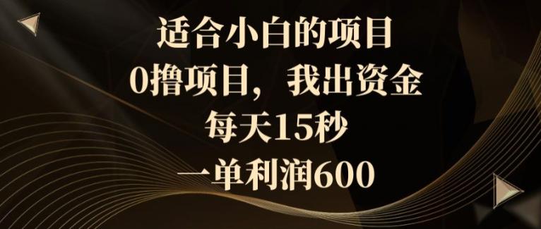 适合小白的项目，0撸项目，我出资金，每天15秒，一单利润600-菜菜网创