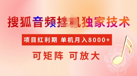全网首发搜狐音频挂JI独家技术，项目红利期，可矩阵可放大，稳定月入8k【揭秘】-菜菜网创