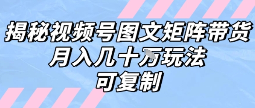 解密视频号图文矩阵带货，月入几个W的打法，可复制-菜菜网创