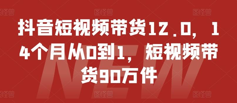 抖音短视频带货12.0，14个月从0到1，短视频带货90万件-菜菜网创