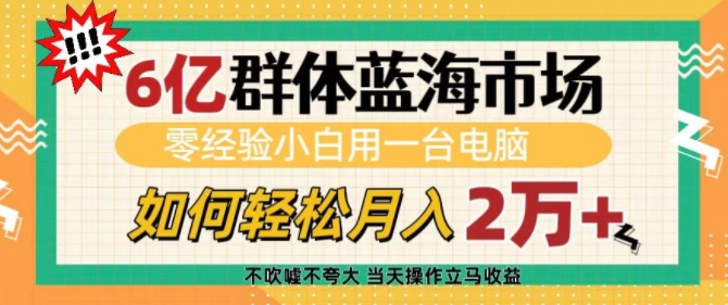 6亿群体蓝海市场，零经验小白用一台电脑，如何轻松月入过w【揭秘】-菜菜网创