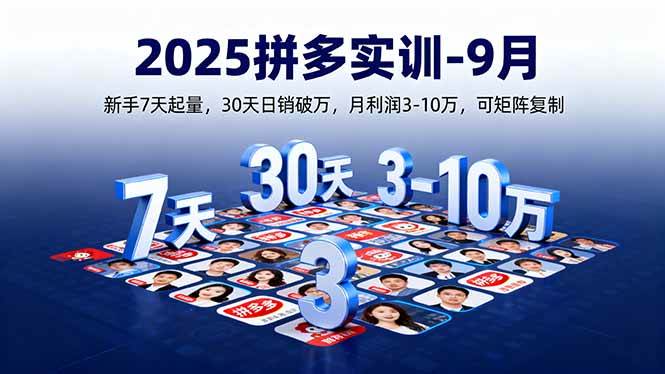 （16008期）2025拼多多实训-9月：新手7天起量,30天日销破万,月利润3-10万,可矩阵复制-菜菜网创