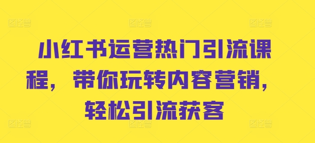 小红书运营热门引流课程，带你玩转内容营销，轻松引流获客-菜菜网创
