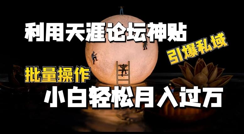 利用天涯论坛神贴，引爆私域，批量操作，小白轻松月入过w【揭秘】-菜菜网创
