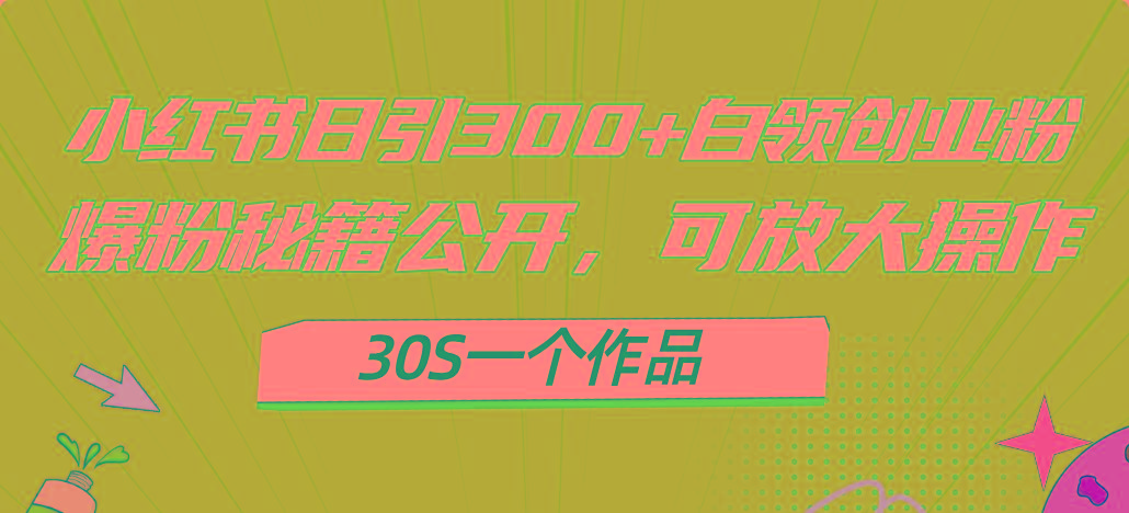 小红书日引300+高质白领创业粉，可放大操作，爆粉秘籍！30s一个作品-菜菜网创