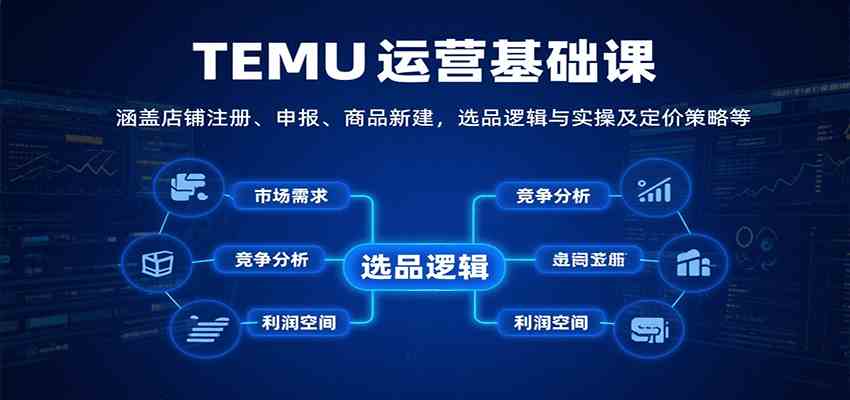TEMU运营基础课：涵盖店铺注册、申报、商品新建，选品逻辑与实操及定价策略等-菜菜网创
