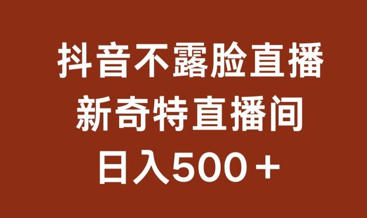 不露脸挂机直播，新奇特直播间，日入500+【揭秘】-菜菜网创