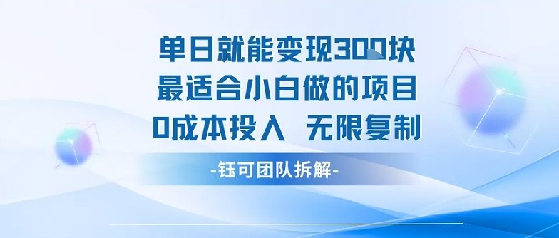 单日就能变现3张最适合小白做的项目0成本投入 无限复制-菜菜网创