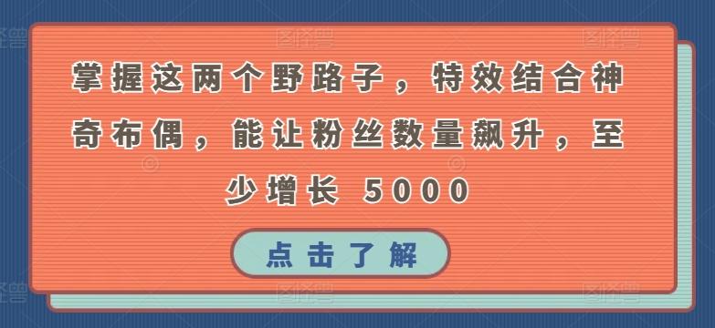 掌握这两个野路子，特效结合神奇布偶，能让粉丝数量飙升，至少增长 5000【揭秘】-菜菜网创