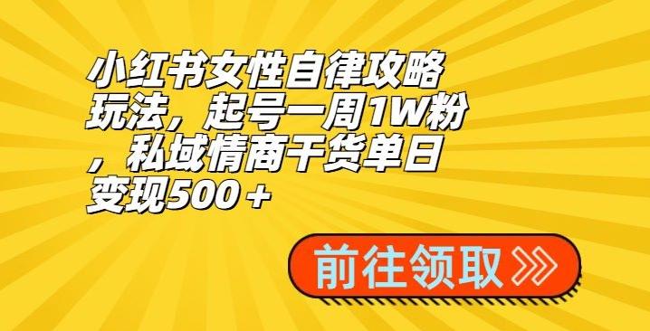 小红书女性自律攻略玩法，起号一周1W粉，私域情商干货单日变现500＋-菜菜网创