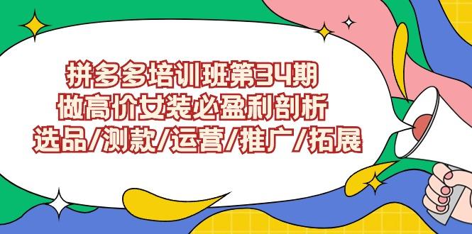 (9333期)拼多多培训班第34期：做高价女装必盈利剖析  选品/测款/运营/推广/拓展-菜菜网创