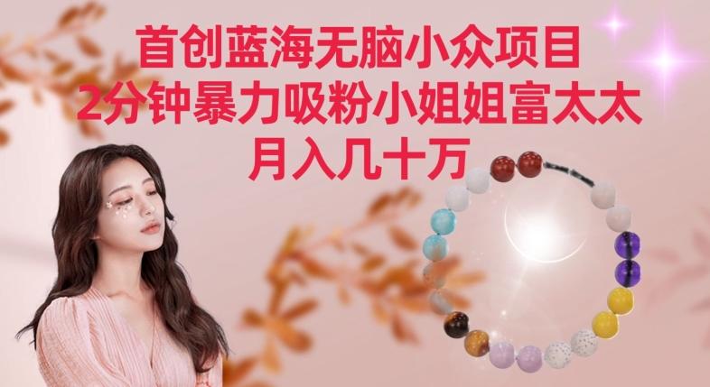 首创蓝海无脑小众项目，2分钟暴力吸粉小姐姐富太太，月入几十万【揭秘】-菜菜网创