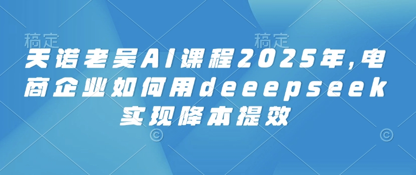 天诺老吴AI课程2025年，电商企业如何用deeepseek实现降本提效-菜菜网创