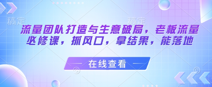流量团队打造与生意破局，老板流量必修课，抓风口，拿结果，能落地-菜菜网创