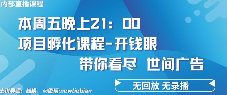 4.26日内部回放课程《项目孵化-开钱眼》赚钱的底层逻辑【揭秘】-菜菜网创