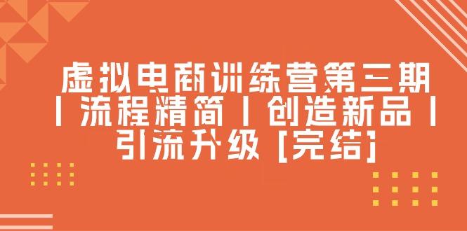 虚拟电商训练营第三期丨流程精简丨创造新品丨引流升级 [完结]-菜菜网创