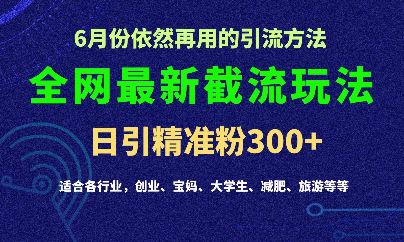 2024全网最新截留玩法，每日引流突破300+-菜菜网创