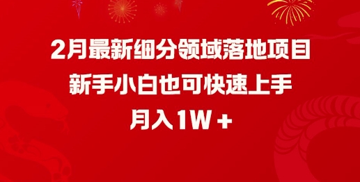 2月最新细分领域落地项目，新手小白也可快速上手，月入1W-菜菜网创