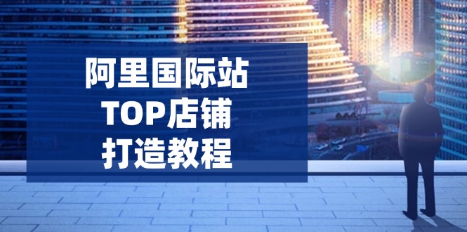 阿里国际站TOP店铺打造教程：涵盖平台到高阶，解决运营难题，提升询盘-菜菜网创