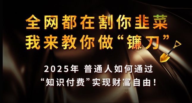 全网都在割你韭菜，我来教你做镰刀，2025年普通人如何通过 知识付费 实现财F自由【揭秘】-菜菜网创