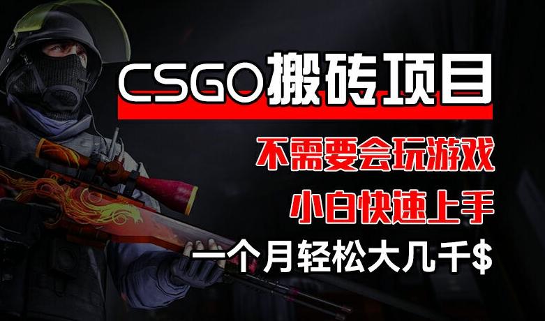 CSGO 装备搬砖项目，操作简单，不需要会玩游戏，小白也能快速上手，一个月轻松大几千【揭秘】-菜菜网创