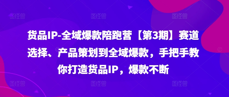 货品IP全域爆款陪跑营【第3期】赛道选择、产品策划到全域爆款，手把手教你打造货品IP，爆款不断-菜菜网创