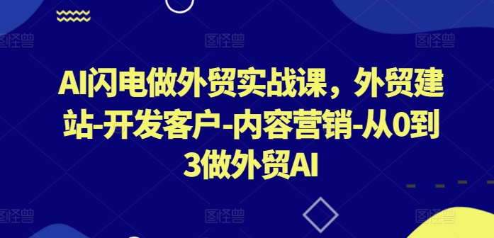 AI闪电做外贸实战课，​外贸建站-开发客户-内容营销-从0到3做外贸AI(更新)-菜菜网创