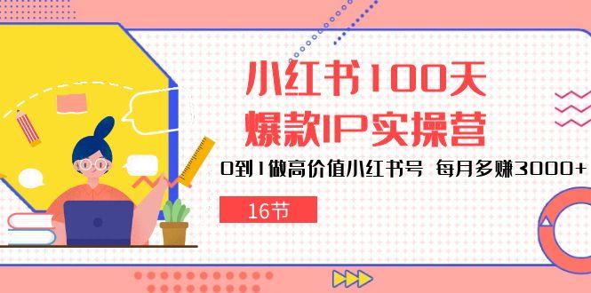 小红书100天-爆款IP实操营，0到1做高价值小红书号 每月多赚3000+(16节-菜菜网创
