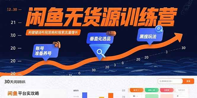 （15698期）闲鱼无货源训练营：账号准备养号/垂直化选品/黑搜玩法，0基础30天盈利指南-菜菜网创