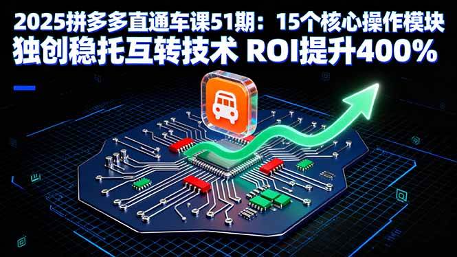 （16020期）2025拼多多直通车课51期：15个核心操作模块 独创稳托互转技术 ROI提升400%-菜菜网创