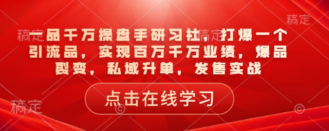 一品千万操盘手研习社，打爆一个引流品，实现百万千万业绩，爆品裂变，私域升单，发售实战-菜菜网创