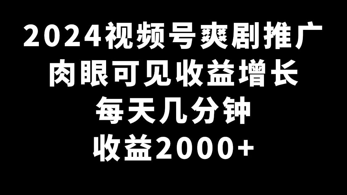 2024视频号爽剧推广，肉眼可见的收益增长，每天几分钟收益2000+-菜菜网创