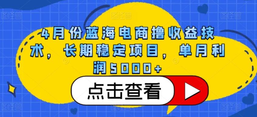4月份蓝海电商撸收益技术，长期稳定项目，单月利润5000+【揭秘】-菜菜网创