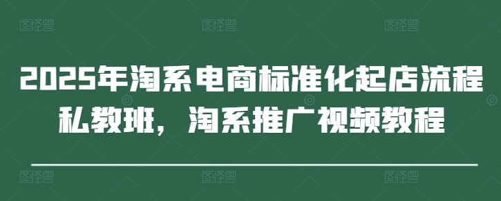 2025年淘系电商标准化起店流程私教班，淘系推广视频教程-菜菜网创