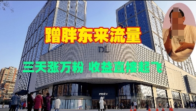 蹭胖东来流量，三天涨万粉，收益直接起飞-菜菜网创