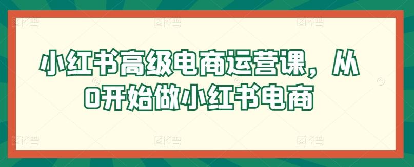 小红书高级电商运营课，从0开始做小红书电商-菜菜网创