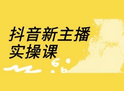 抖音新主播实操课，直播间流量运营线上实操课(18节)-菜菜网创