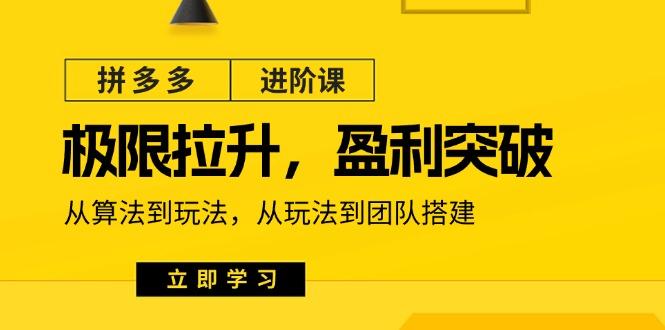 拼多多·进阶课：极限拉升/盈利突破：从算法到玩法 从玩法到团队搭建-18节-菜菜网创