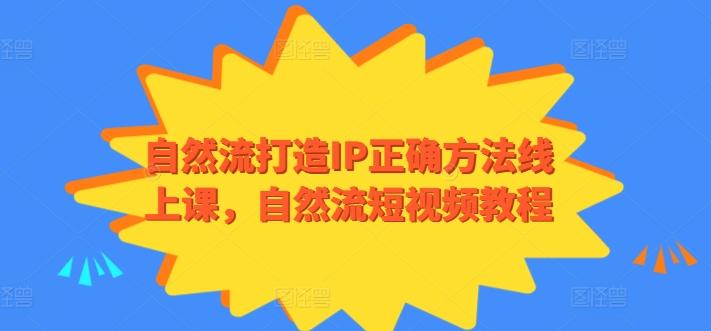 自然流打造IP正确方法线上课，自然流短视频教程-菜菜网创