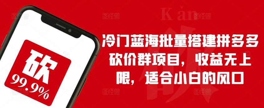 冷门蓝海批量搭建拼多多砍价群项目，收益无上限，适合小白的风口【揭秘】-菜菜网创