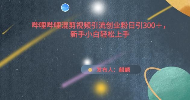 哔哩哔哩混剪视频引流创业粉日引300+，新手小白轻松上手【揭秘】-菜菜网创