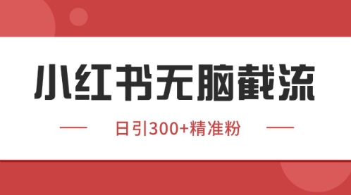 小红书只要你有同行就能获客，独家野路子获客玩法，暴力截流【揭秘】-菜菜网创