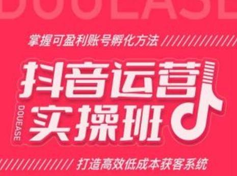 抖音运营实操班，掌握可盈利账号孵化方法，打造高效低成本获客系统-菜菜网创