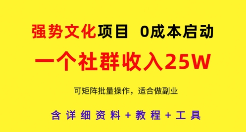 强势文化项目，一个社群收入25个W，0成本启动，可矩阵批量操作，原创详细实操教程-菜菜网创