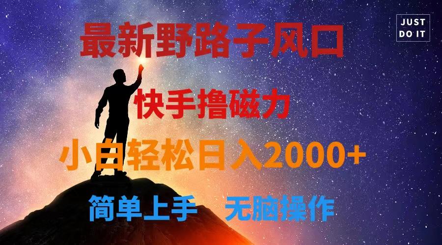 最新风口！快手撸磁力，野路子，小白无脑操作日入2000+-菜菜网创