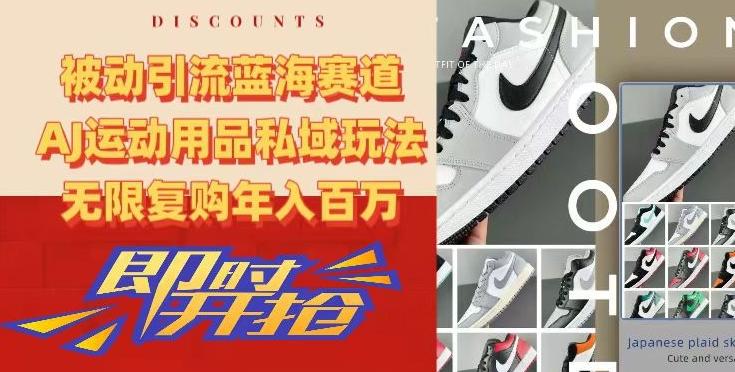 被动引流蓝海赛道，AJ运动用品私域玩法，无限复购年入百万【揭秘】-菜菜网创