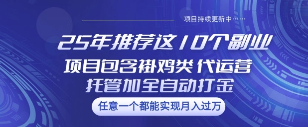25年推荐这10个副业项目包含褂鸡类、代运营托管类、全自动打金类【揭秘】-菜菜网创