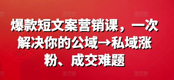 爆款短文案营销课，一次解决你的公域→私域涨粉、成交难题-菜菜网创