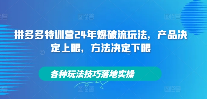 拼多多特训营24年爆破流玩法，产品决定上限，方法决定下限，各种玩法技巧落地实操-菜菜网创