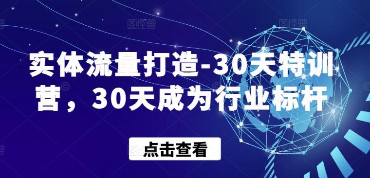 实体流量打造-30天特训营，30天成为行业标杆-菜菜网创
